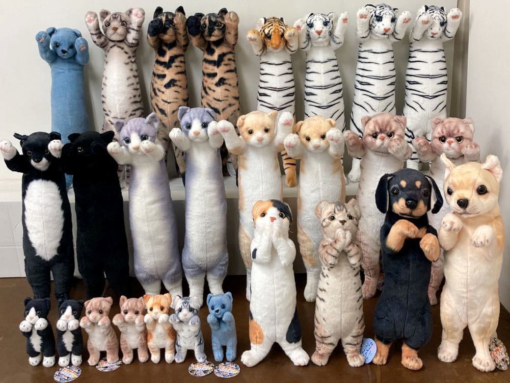 RK454)たっちぃZOO にゃんこ わんこ ガオー mini ちょこんとにゃんこ
