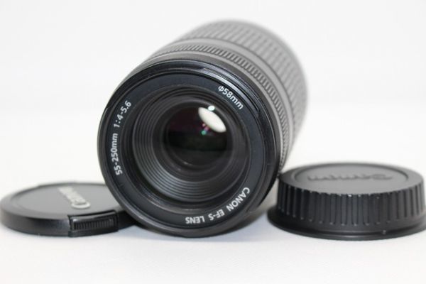 キヤノン CANON EF-S 55-250mm F4-5.6 IS 望遠ズーム #Z2542