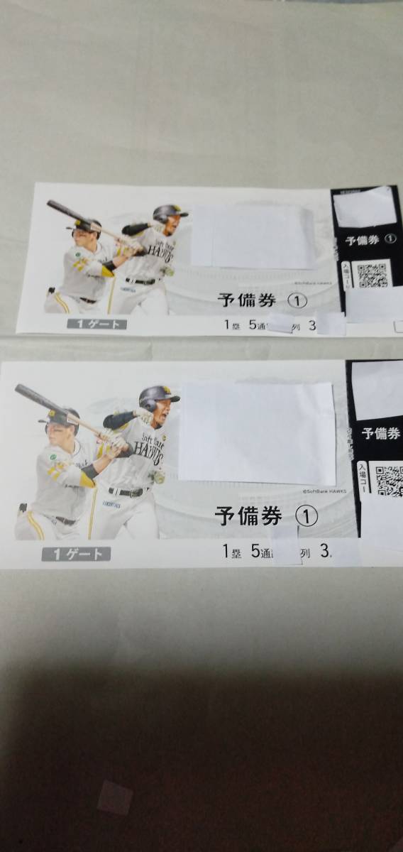 2代伊東陶山造『南蛮写酒徳利一対』（共箱） 三代 伊東陶山 京焼 笹絵