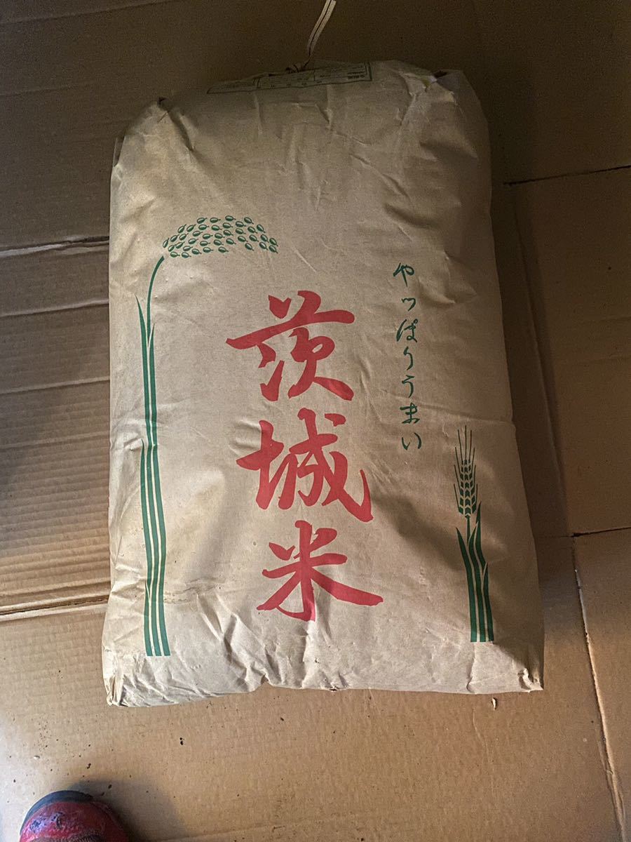 ⑤値下げ 令和4年度産 コシヒカリ 玄米30kg 【公式通販】