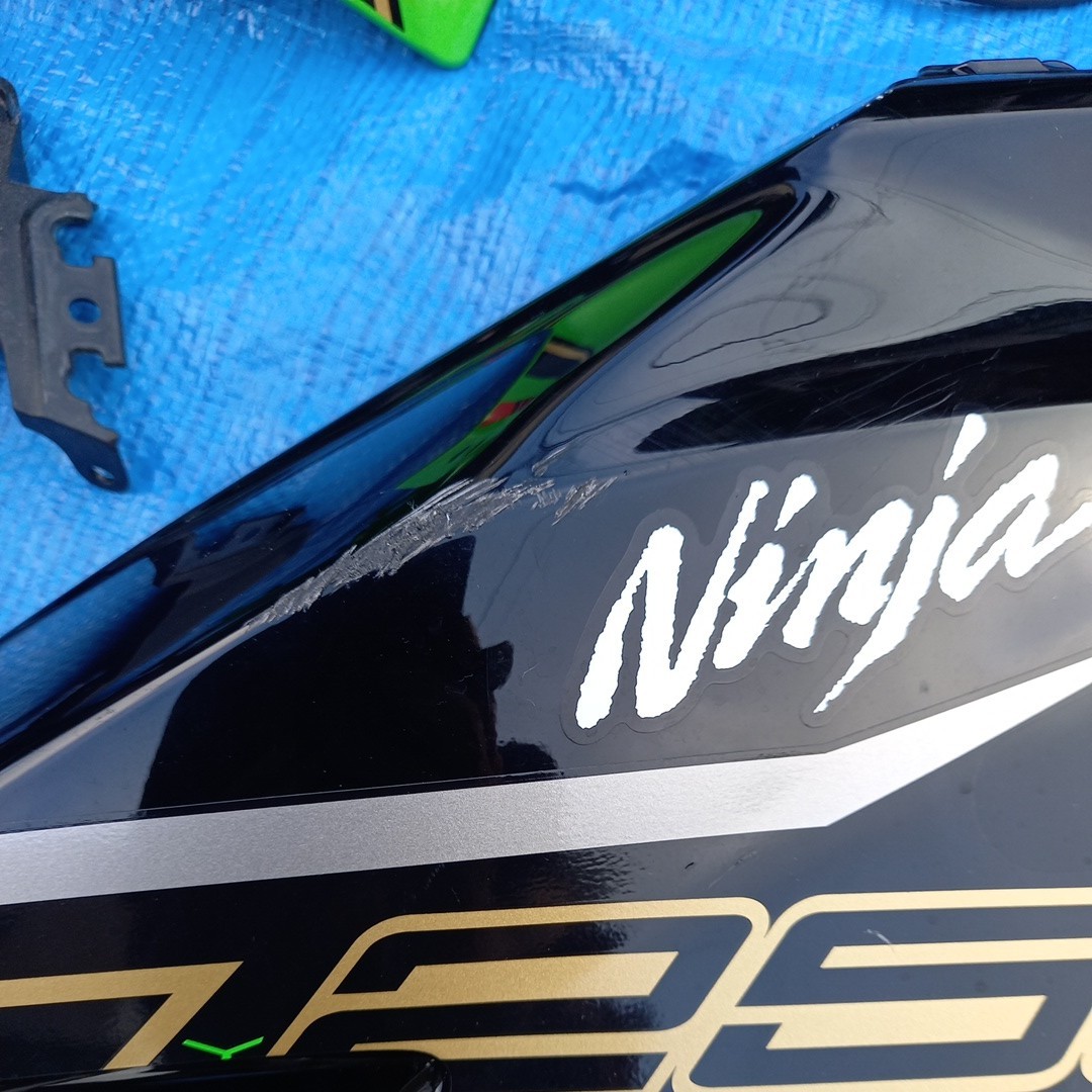 セット ○未使用品・クラック有○08-12Ninja250R用 才谷屋製 「ZX-6Rレプリカ