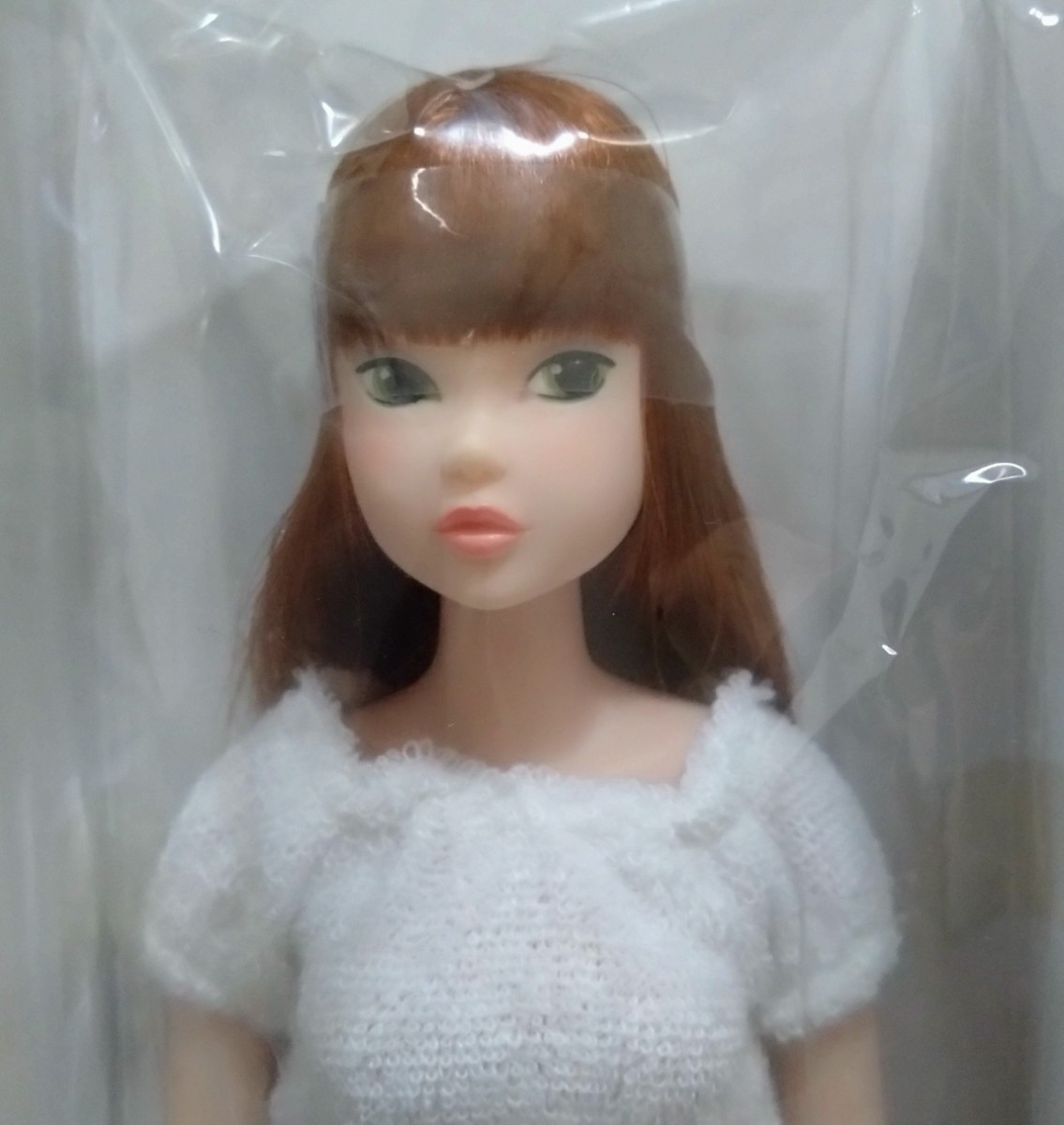 PetWORKs ペットワークス　Today's momoko 1810 未開封 送料無料