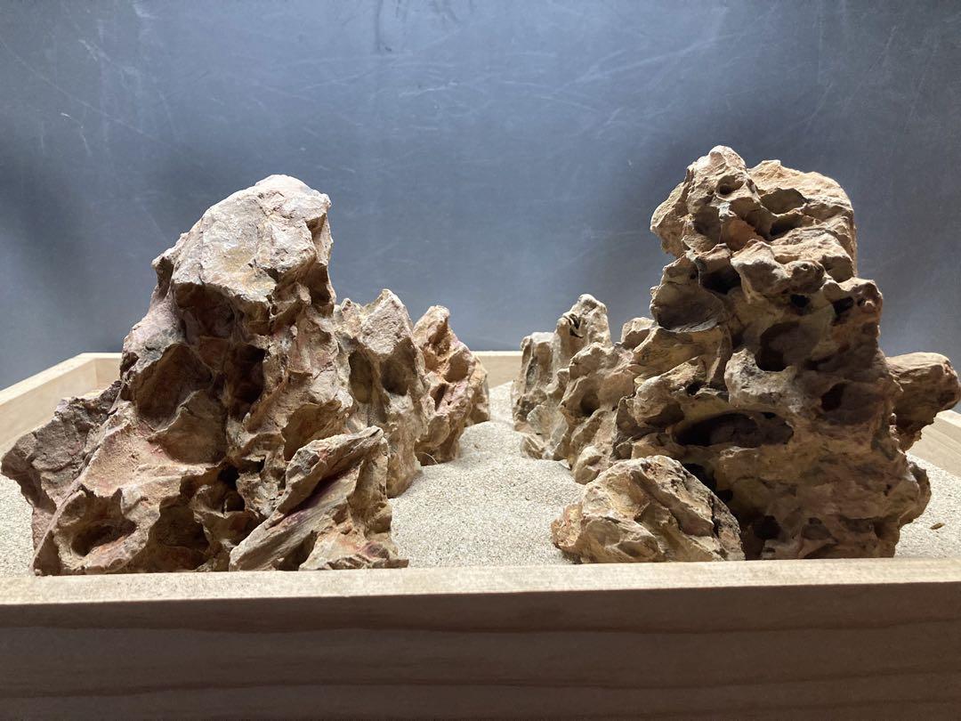 5[新品]ADA 黄虎石セット☆水槽 レイアウト 龍王石 青龍石 気孔石 石組