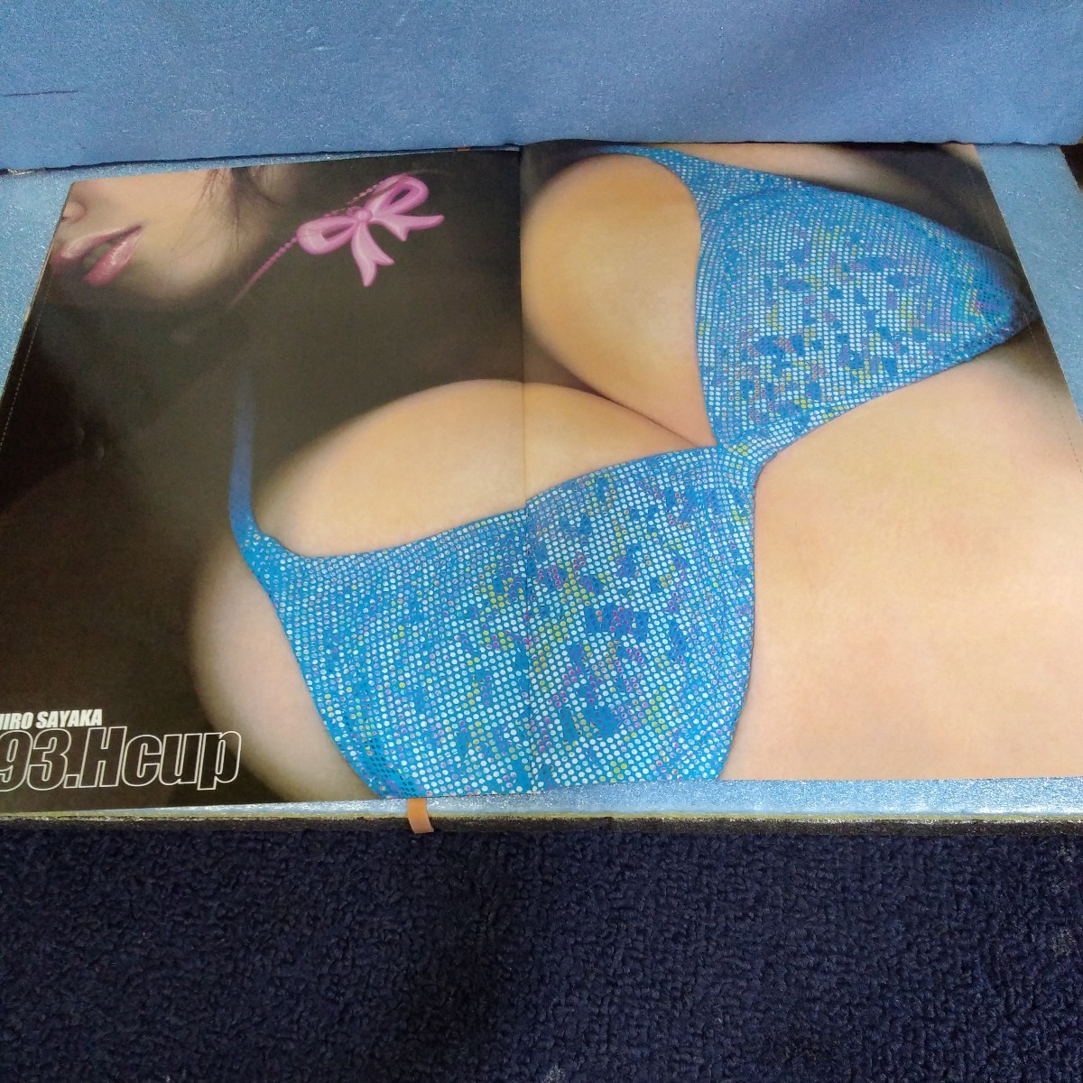 ★田代さやか★谷桃子★花木衣世★雑誌切り抜き 袋とじ 8P カラーコピー 巨乳 原寸大 豊乳 水着 ビキニ タレント アイドル 送料込⑪_2