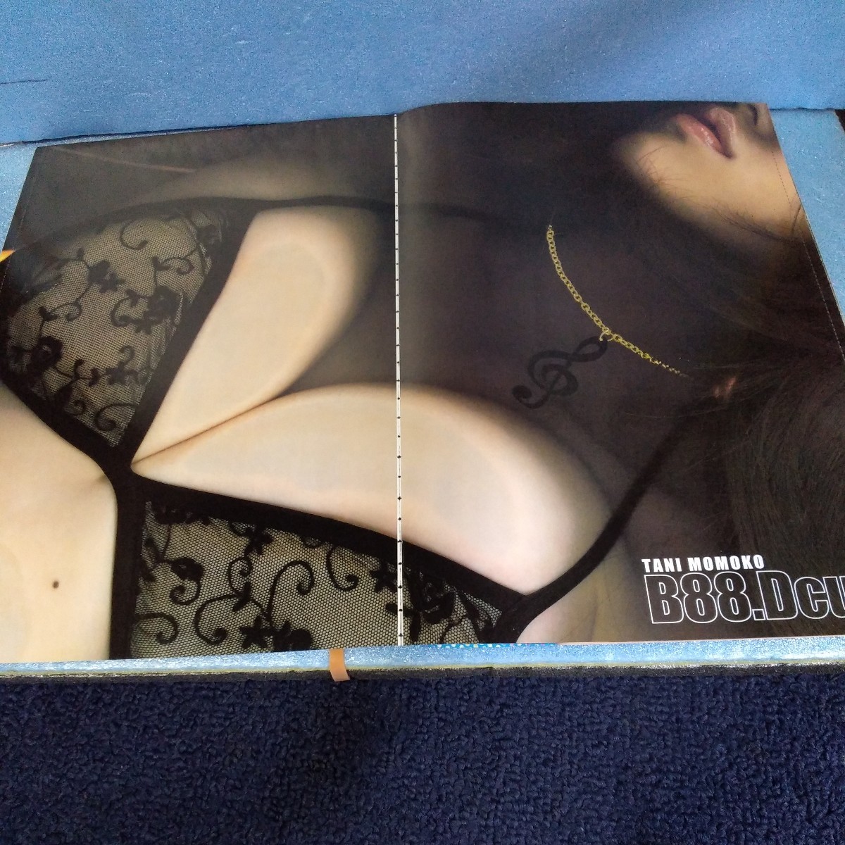 ★田代さやか★谷桃子★花木衣世★雑誌切り抜き 袋とじ 8P カラーコピー 巨乳 原寸大 豊乳 水着 ビキニ タレント アイドル 送料込⑪_3