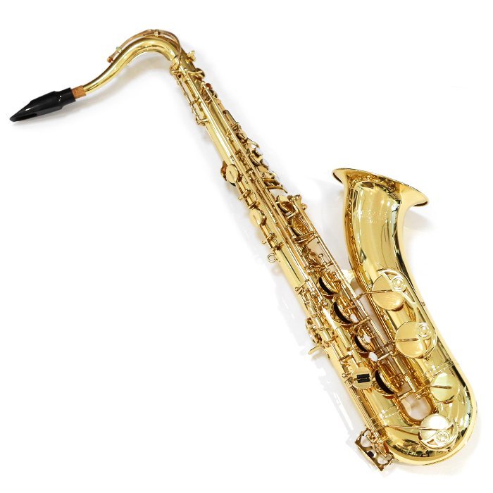 ヤマハ(YAMAHA) テナーサックス YTS-24 サクソフォン 管楽器 ハード