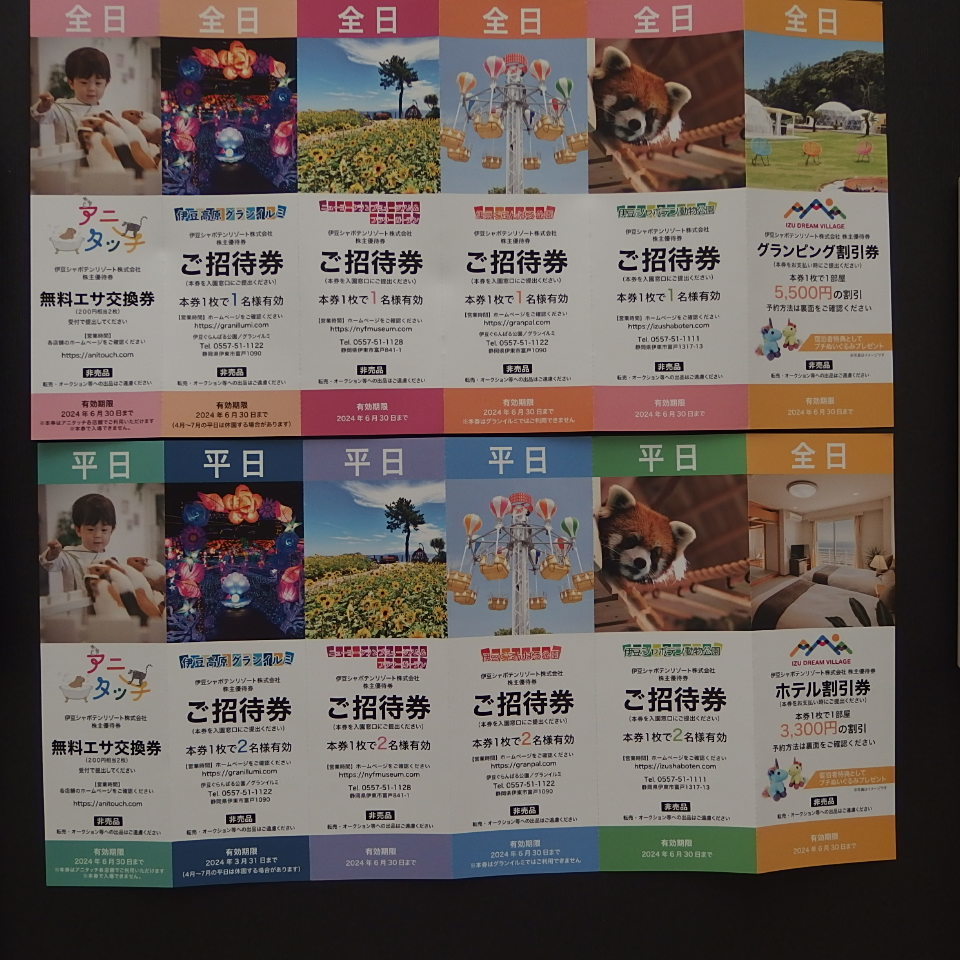 ☆　伊豆シャボテンリゾート 株主優待券１２枚　☆