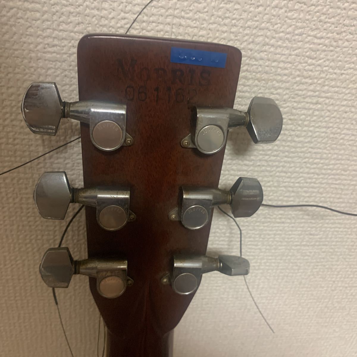 TMF MORRIS モーリス W-60 アコースティックギター ハードケース付き 