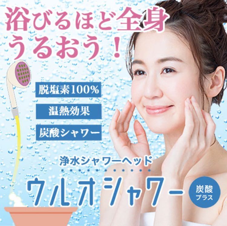 格安，HOT イーテック Etec 浄水シャワーヘッド 炭酸プラス ウルオシャワー:US-180 正規品 ホワイト(シャワーヘッド)｜売買されたオークション情報、yahooの商品情報をアーカイブ公開 - オークファン シャワーヘッド