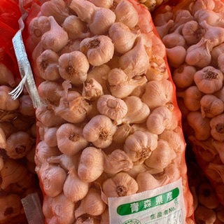 令和5年　青森県 にんにく10KgS タネ　免疫力アップ