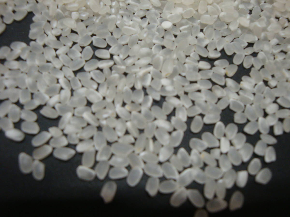魚沼産コシヒカリ 30kg 玄米 令和7年産 - 価格.com 30kg」の人気商品