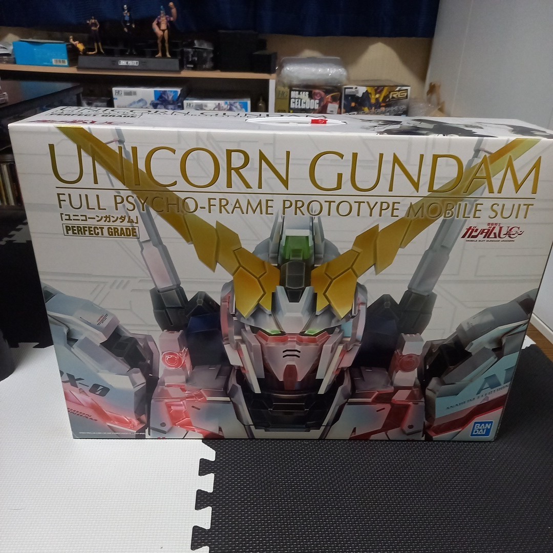 1⁄60 PG RX-0 ユニコーンガンダム PG LEDユニット 新品未開封PG