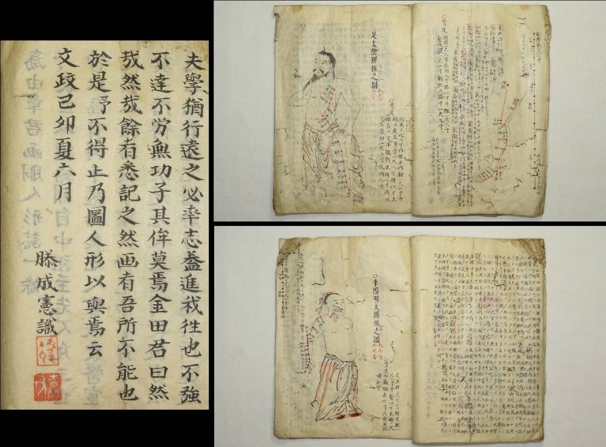 東洋医学 19世紀の解剖図と医学書の図版 MEDICINE OF IMAGE 洋書