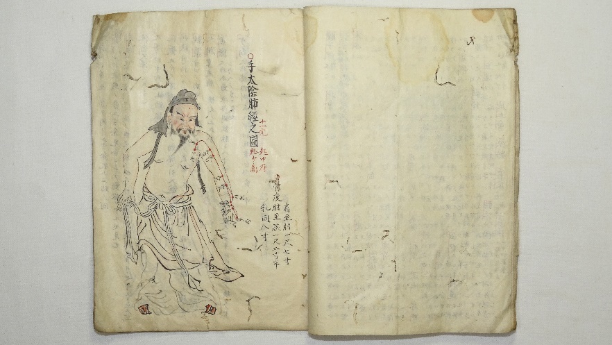 東洋医学 19世紀の解剖図と医学書の図版 MEDICINE OF IMAGE 洋書
