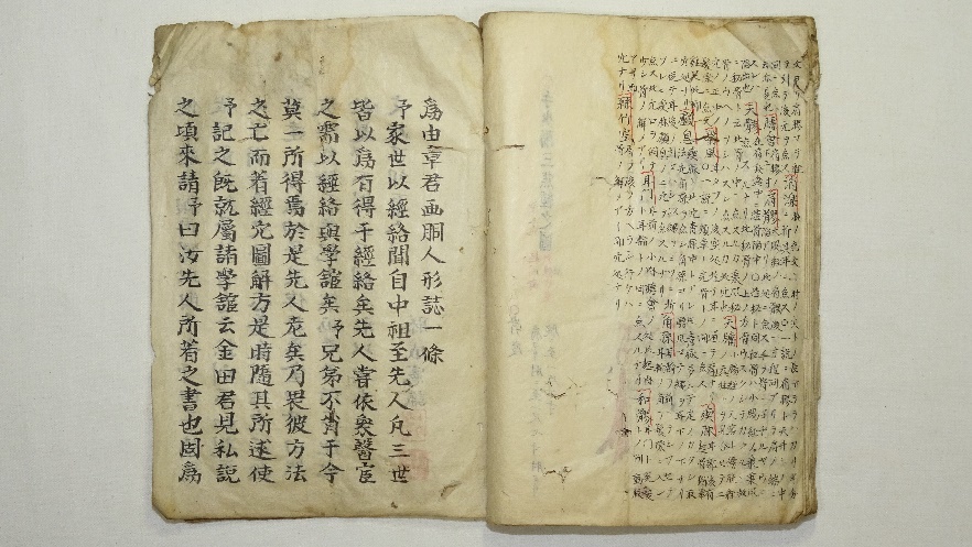 東洋医学 19世紀の解剖図と医学書の図版 MEDICINE OF IMAGE 洋書