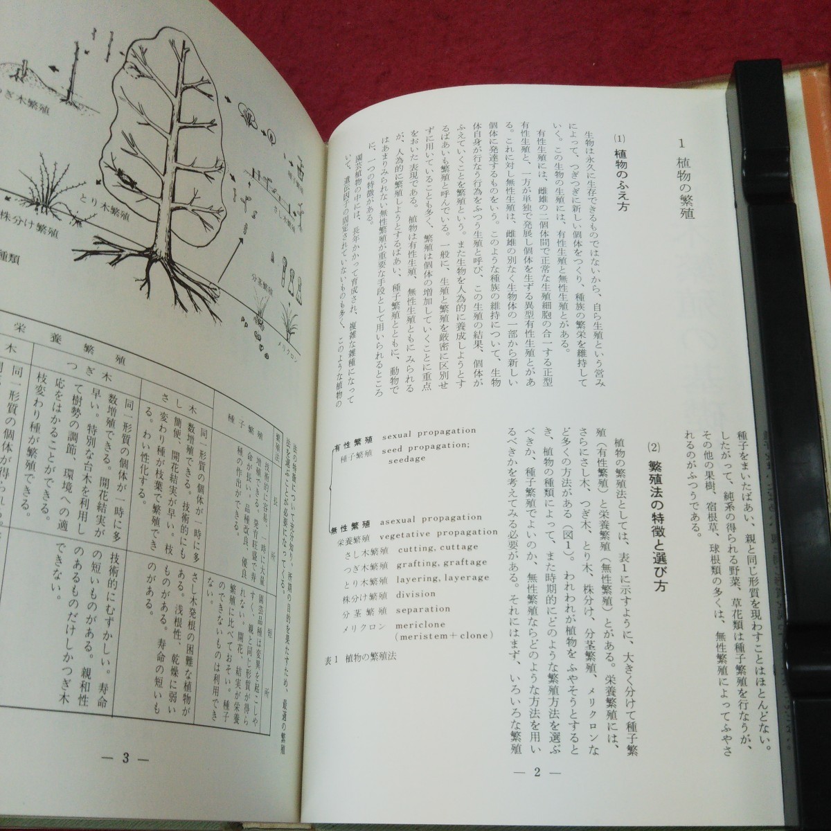 さし木のすべて - 誠文堂新光社 ペンの跡があります。 町田英夫 メルカリ
