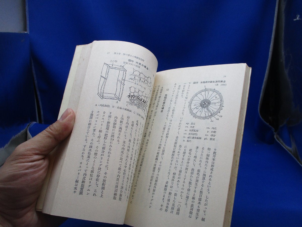 根の活力と根圏微生物　農文協/101903 根の活力と根圏微生物 (自然と科学技術シリーズ) | 著) 根の活力と根圏微生物(小林達治 EM