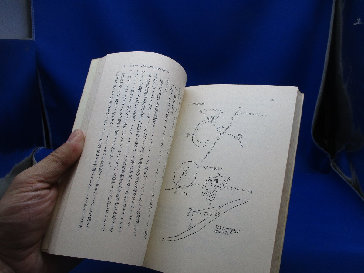 根の活力と根圏微生物　農文協/101903 根の活力と根圏微生物 (自然と科学技術シリーズ) | 著) 根の活力と根圏微生物(小林達治 EM