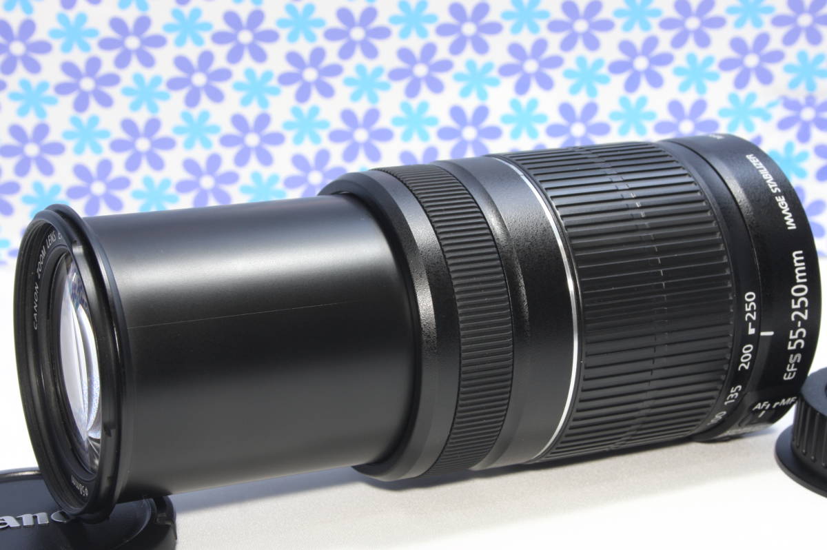 極上美品☆Canon キャノン EF-S 55-250mm IS Ⅱ☆手振れ補正☆