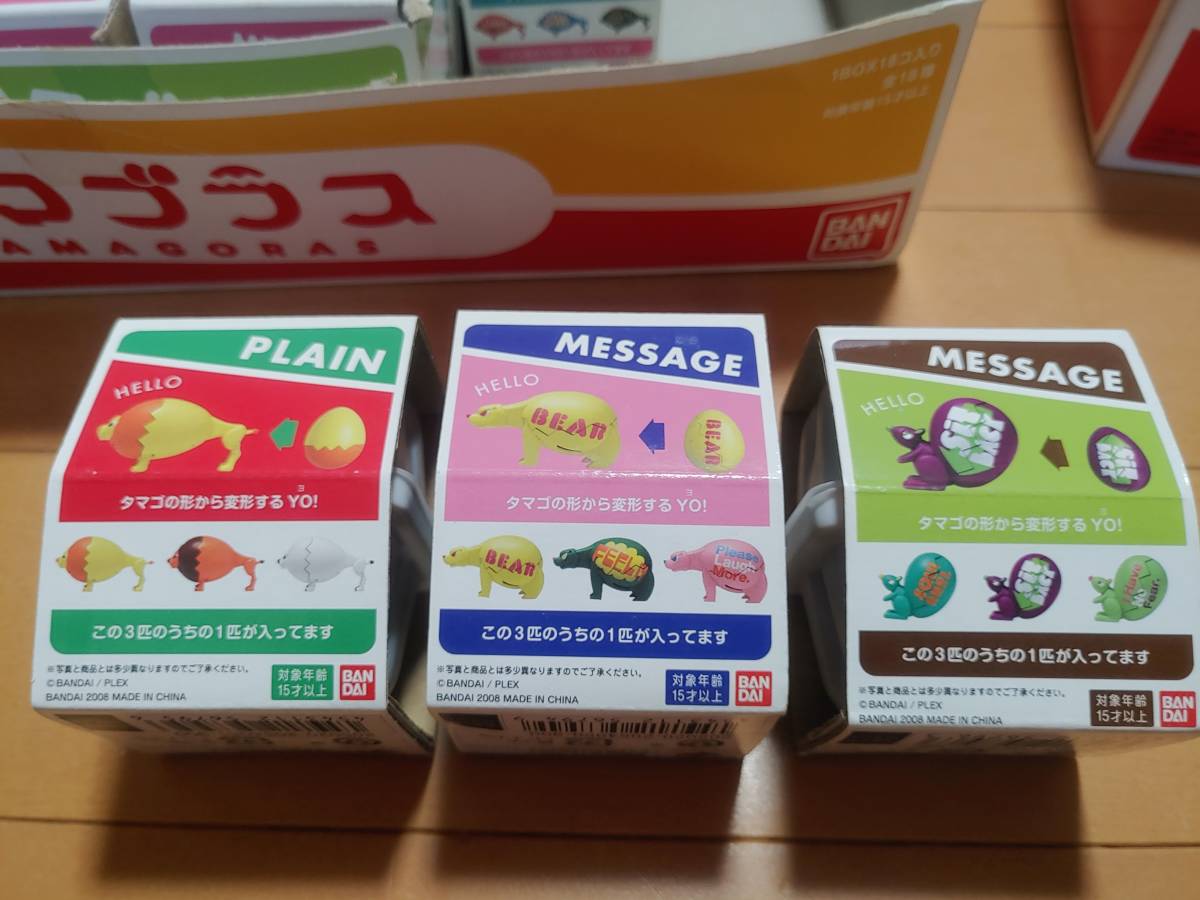 タマゴラス BEAR LION SQUIRREL plain message 【公式通販】