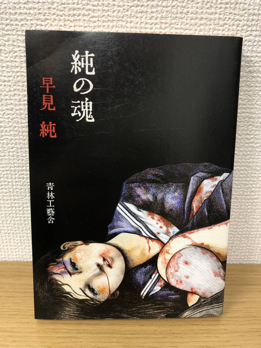 絶版 純の魂 早見純 2002年初版第1刷発行 青林工藝舎 A4 | OSIR.OLSZTYN.PL