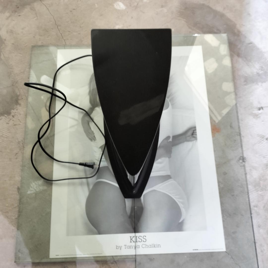 DENON デノン DSW-5L サブウーファー スーパーウーファー 公式通販