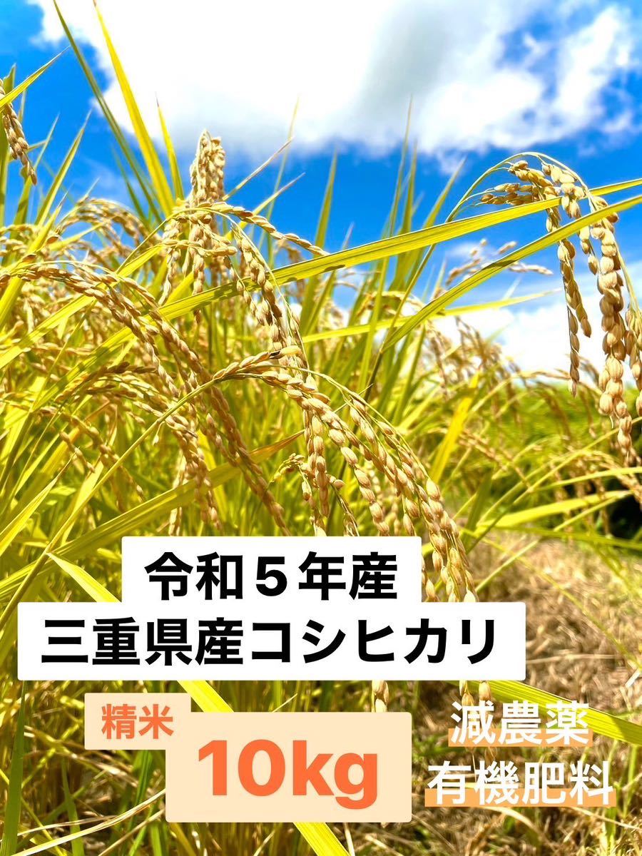 新米 令和5年収穫 三重県産コシヒカリ 10kg 精米（白米） 産地・農家直送