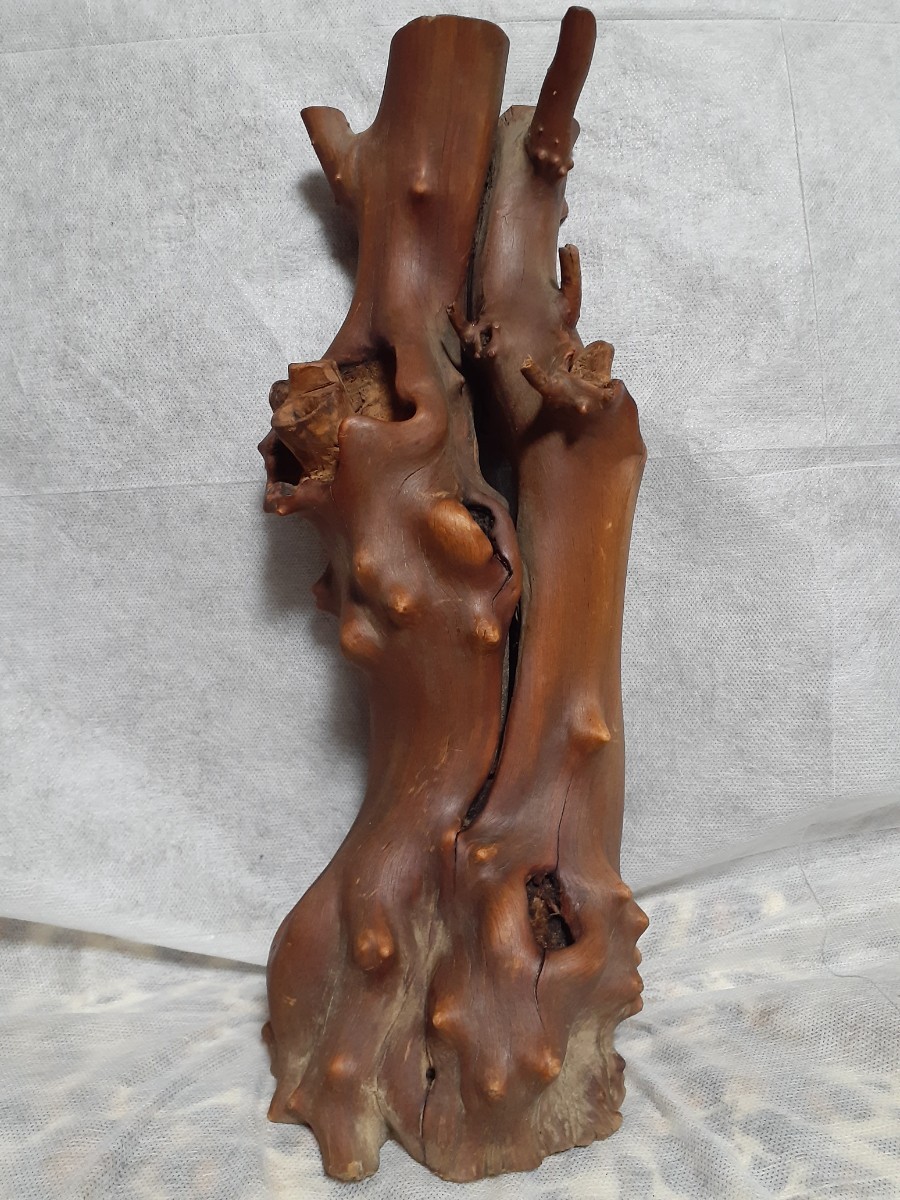 天然木のオブジェ)飾り、盆栽用、観賞用、など、使い方色々。_1