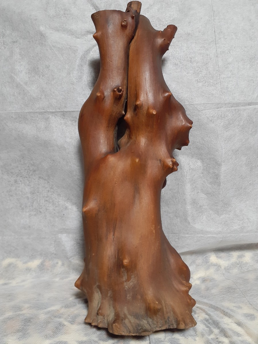 天然木のオブジェ)飾り、盆栽用、観賞用、など、使い方色々。_3