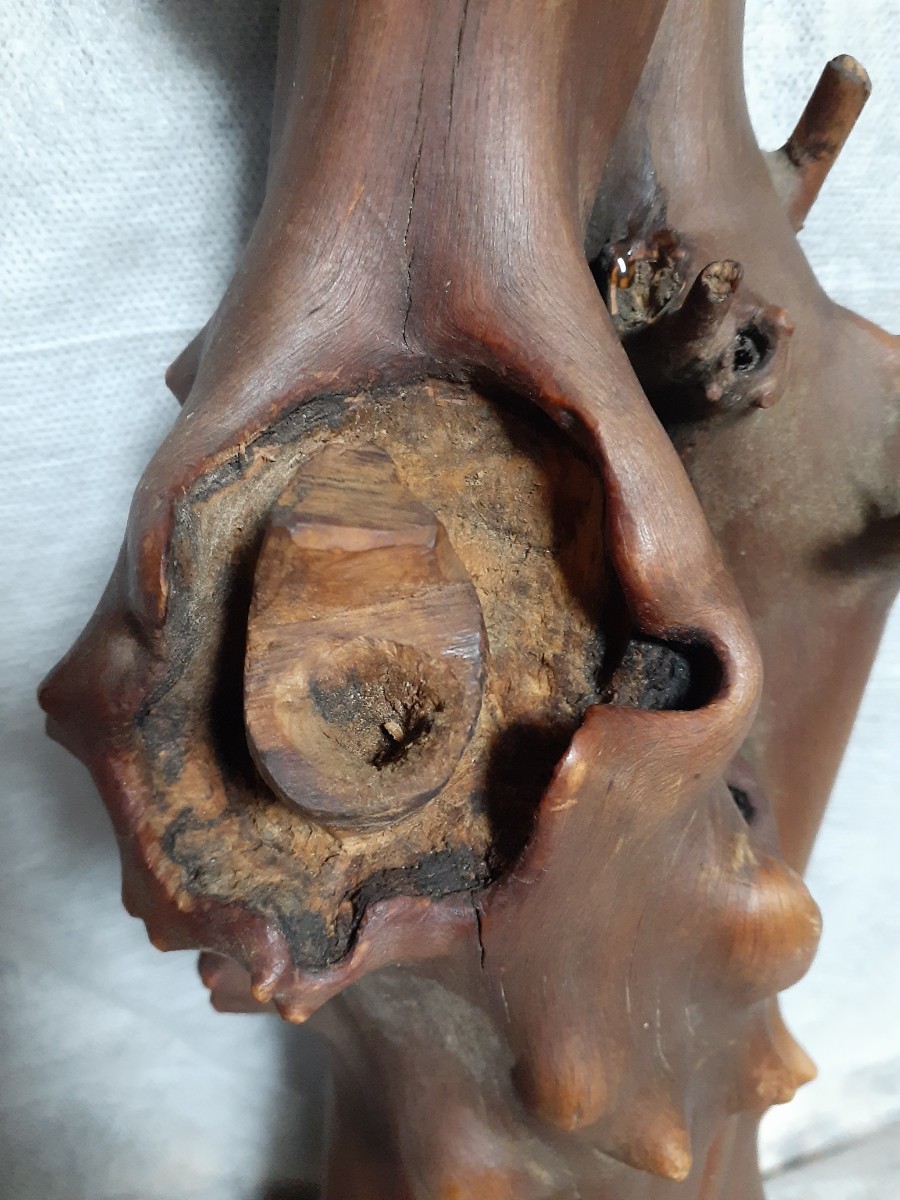 天然木のオブジェ)飾り、盆栽用、観賞用、など、使い方色々。_6