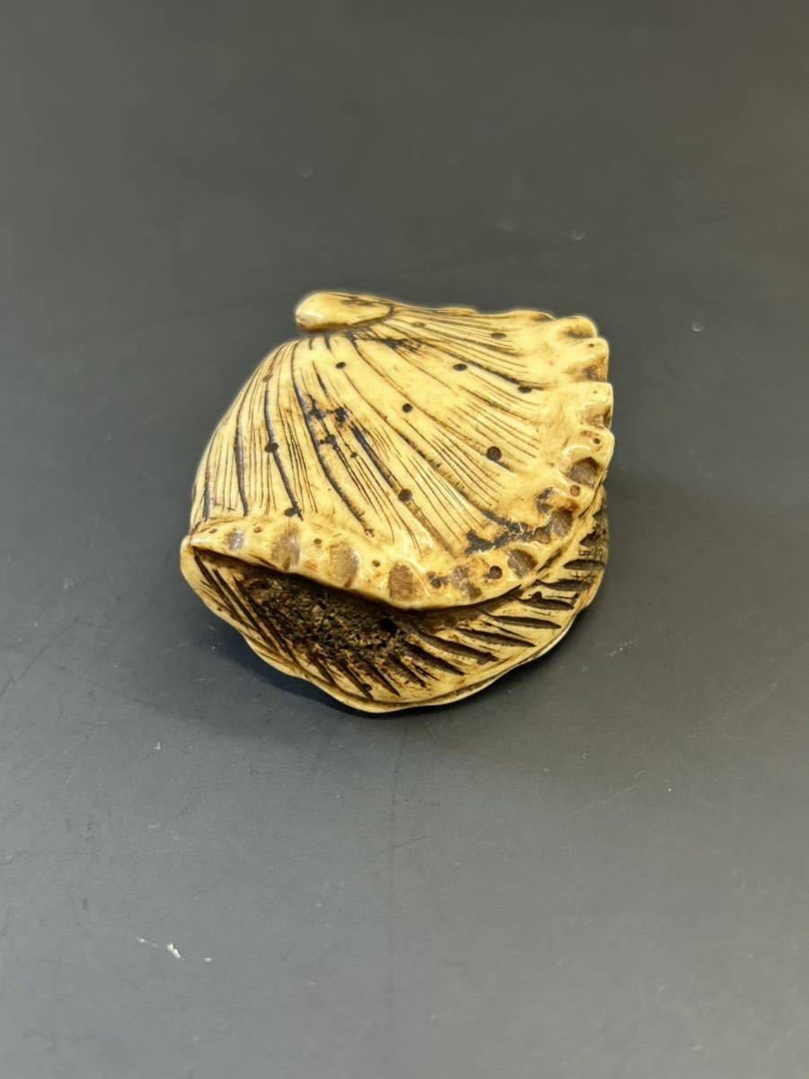 根付 鹿角 鮑 根付 時代提げ物 鮑貝形 提げ物 時代 貝