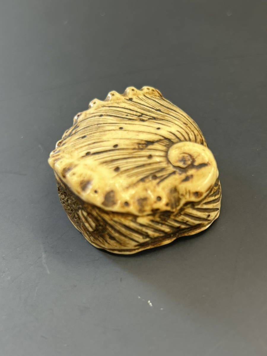 根付 鹿角 鮑 根付 時代提げ物 鮑貝形 提げ物 時代 貝