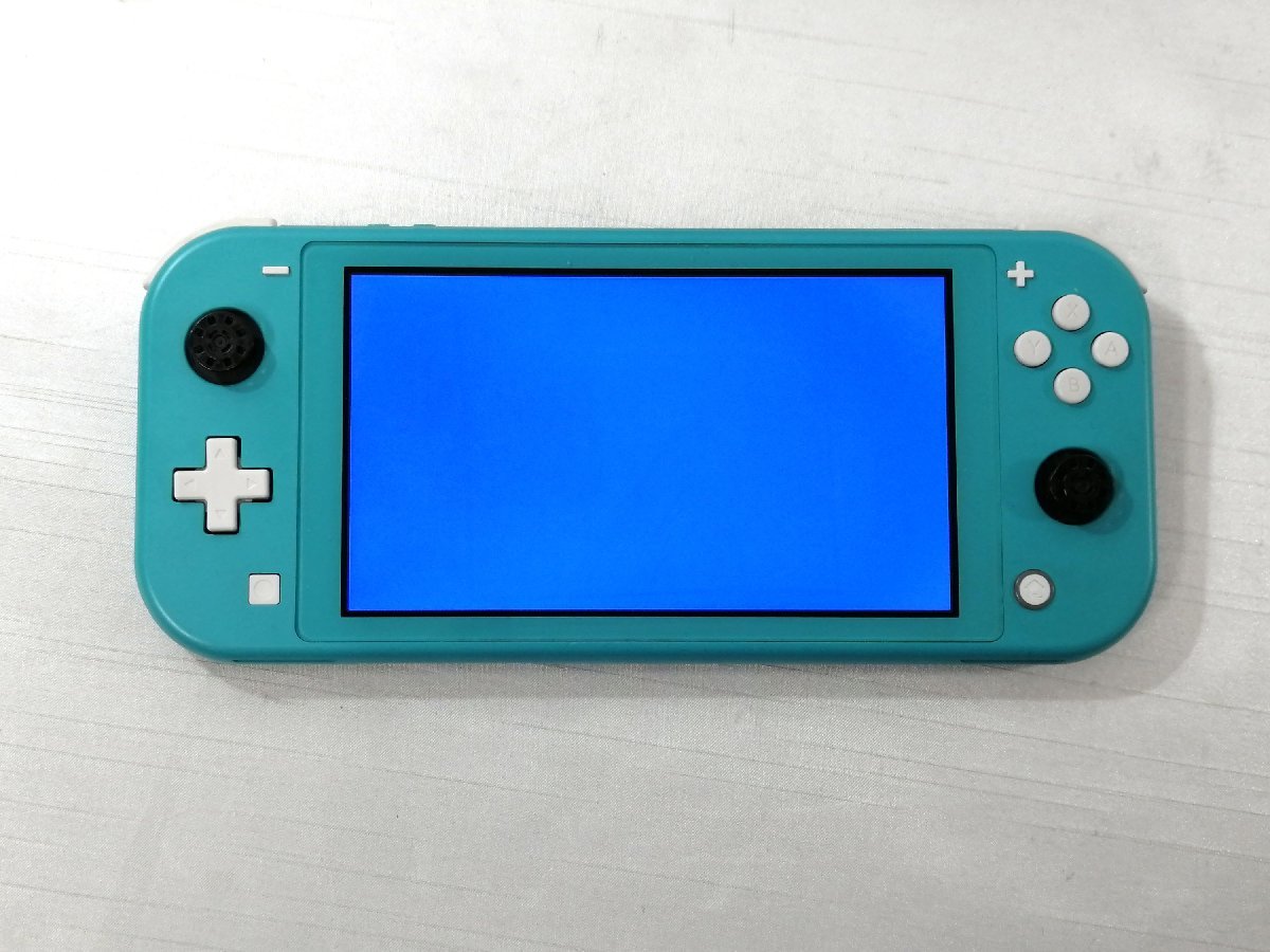 ジャンク Nintendo Switch Lite 任天堂 スイッチ ライト 本体 本体のみ