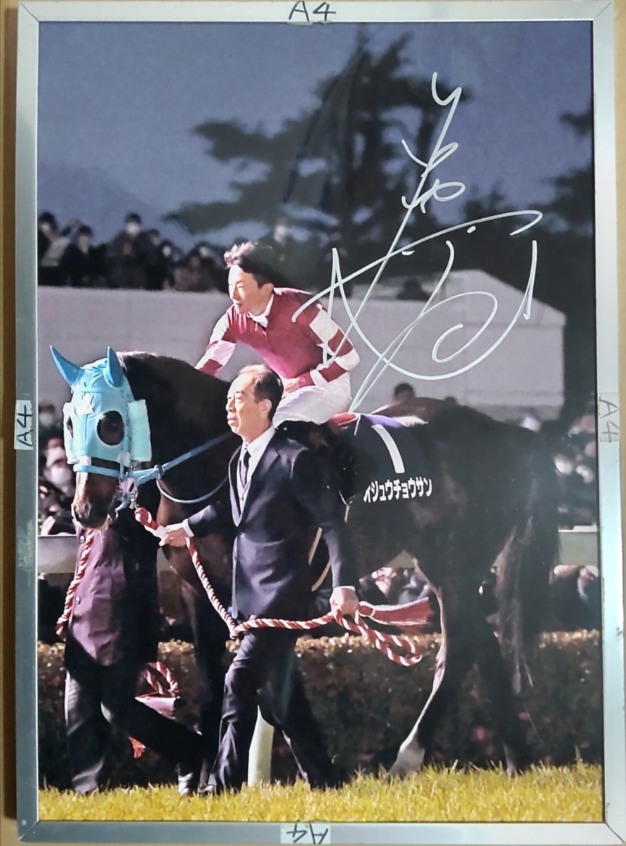 人気定番，最新作 石神深一騎手直筆サインパネル オジュウチョウサン 引退式 何年の中山大障害か中山グランドジャンプのゼッケンかは知らね(競馬)｜売買されたオークション情報、yahooの商品情報をアーカイ その他