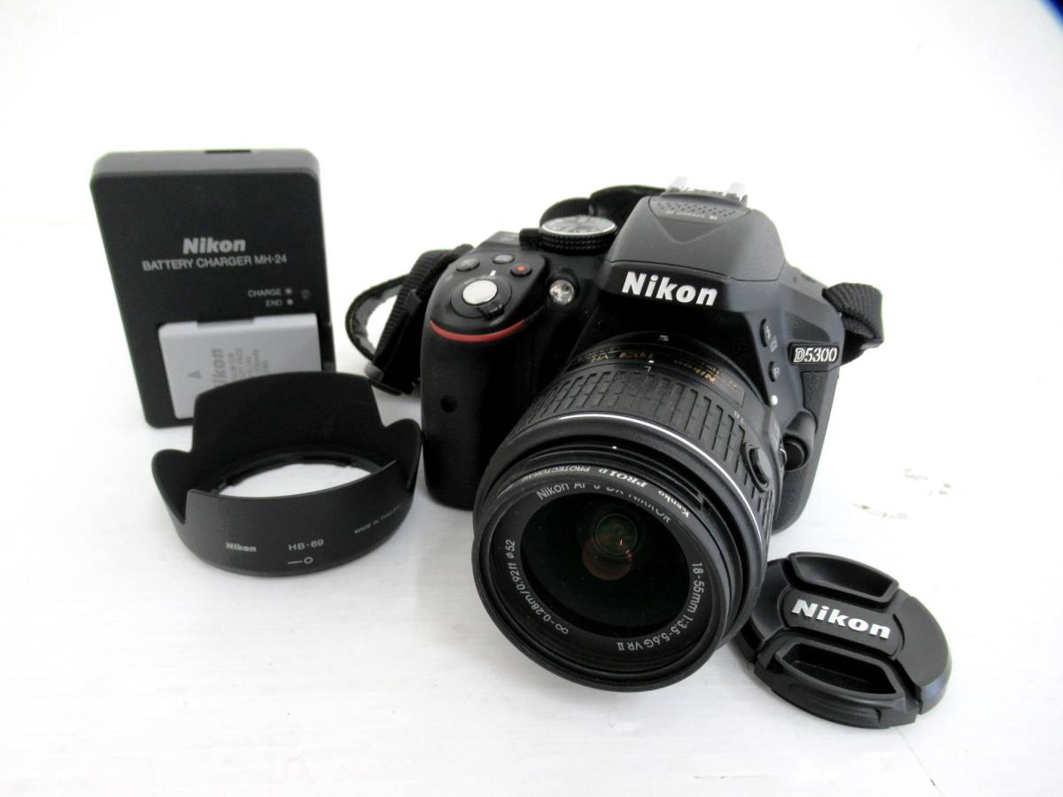 Nikon/ニコン】亥②295//D5300/AF-S DX NIKKOR 18-55mm 1:3.5-5.6 G