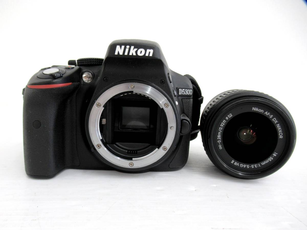 Nikon/ニコン】亥②295//D5300/AF-S DX NIKKOR 18-55mm 1:3.5-5.6 G