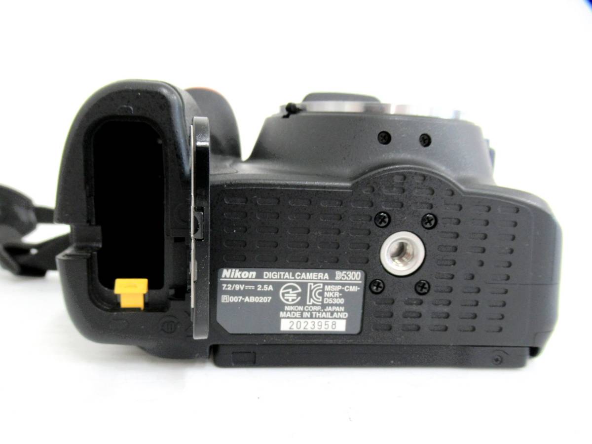 Nikon/ニコン】亥②295//D5300/AF-S DX NIKKOR 18-55mm 1:3.5-5.6 G