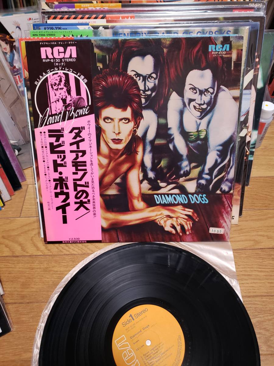 David Bowie デビッド　ボウイー　LP 盤美　ダイアモンドの犬