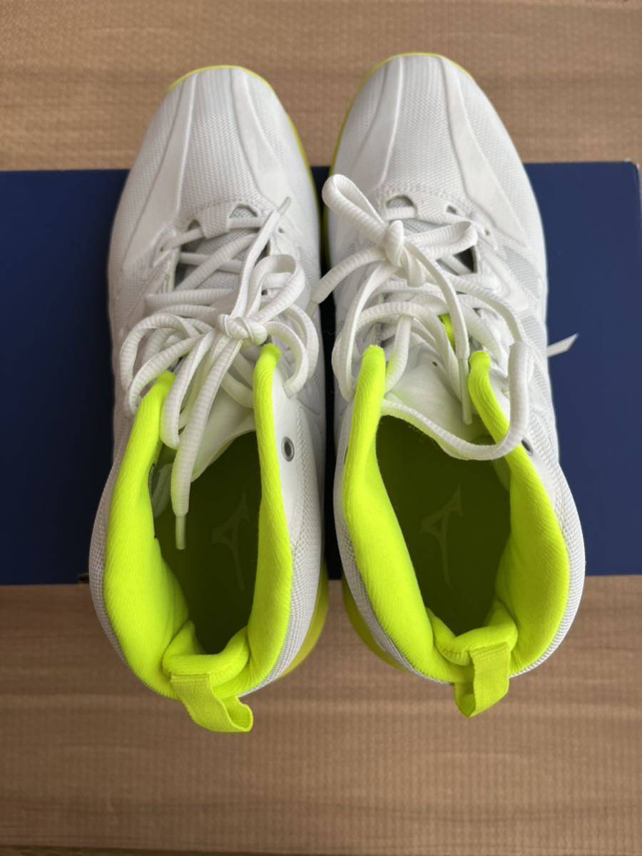 MIZUNO　ミズノ　ウエーブダイバース　LG 3　リミテッド　25㎝_1