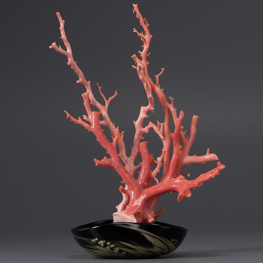 五】天然サンゴ 桃色珊瑚 原木 枝 置物 台座付(東洋彫刻)｜売買された
