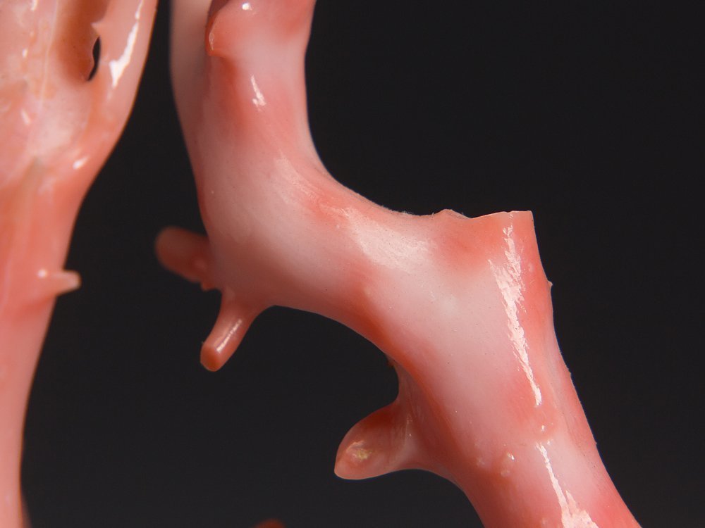 五】天然サンゴ 桃色珊瑚 原木 枝 置物 台座付(東洋彫刻)｜売買された