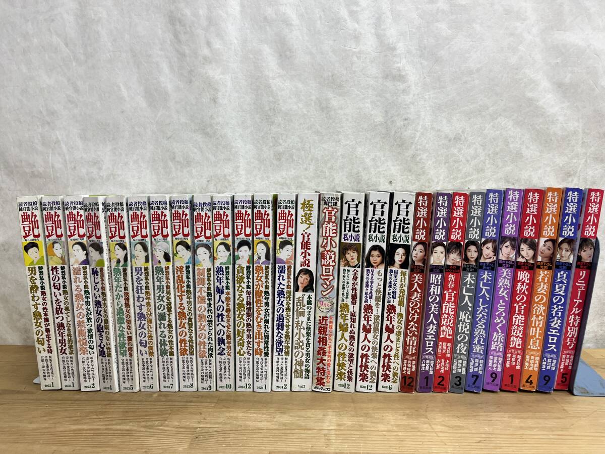官能小説まとめ売り③ 40冊セット L22◇【官能小説文芸誌まとめて28冊】特選小説/官能小説ロマン/官能私