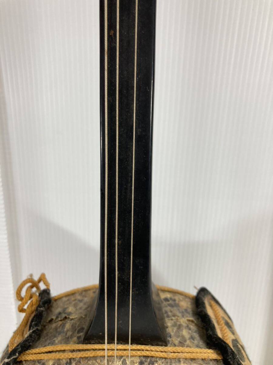 三味線 弦楽器 沖縄三線 三線 楽器 琉球 蛇皮 和楽器 (本体)｜売買され