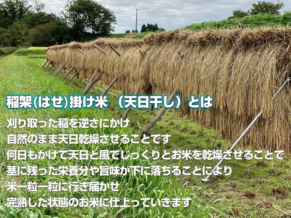 【新米】令和６年度 昔ながらの「稲架(はさ)掛け米」天日干し 岩手県産 ササニシキ 玄米 20Kg 送料無料!!_2
