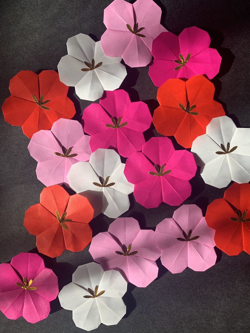 ★壁面飾り★4色 赤白ワイン薄ピンク 梅 ウメ 梅の花 春飾り 冬飾り 保育園・掲示板などに 赤 白_1