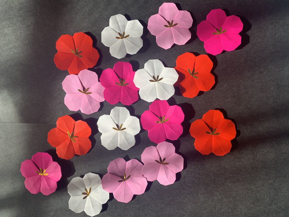 ★壁面飾り★4色 赤白ワイン薄ピンク 梅 ウメ 梅の花 春飾り 冬飾り 保育園・掲示板などに 赤 白_2