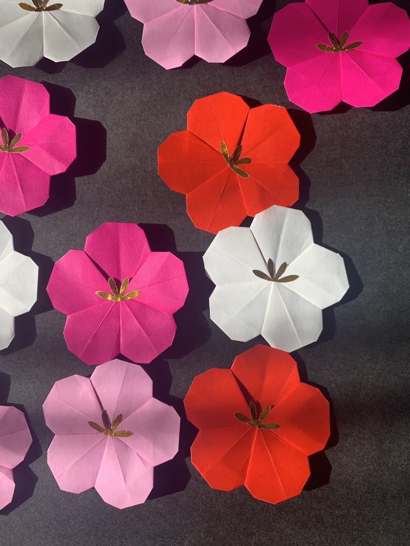 ★壁面飾り★4色 赤白ワイン薄ピンク 梅 ウメ 梅の花 春飾り 冬飾り 保育園・掲示板などに 赤 白_3