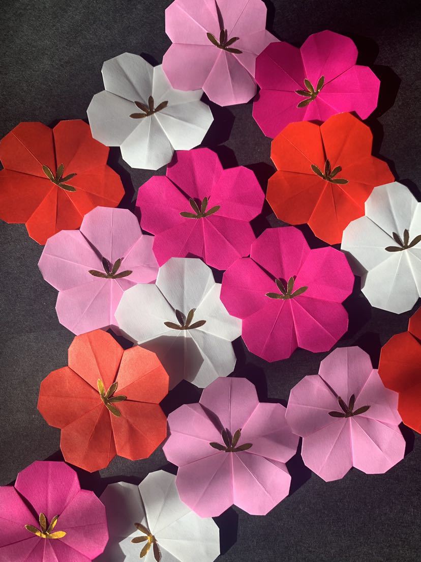 ★壁面飾り★4色 赤白ワイン薄ピンク 梅 ウメ 梅の花 春飾り 冬飾り 保育園・掲示板などに 赤 白_4