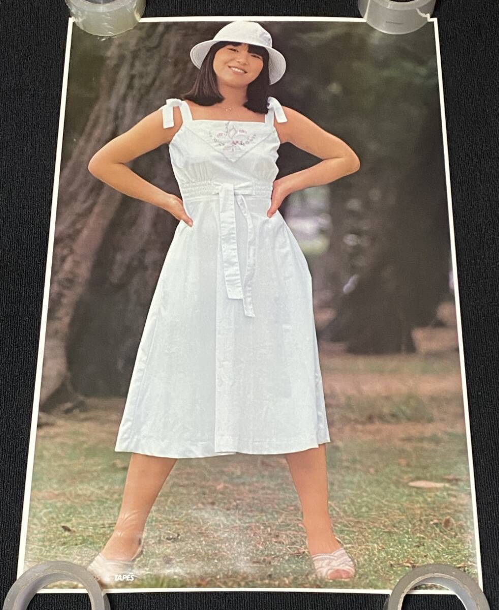 8301/ 岩崎宏美 ポスター / Victor ビクター / サイズ 485mm×740mm
