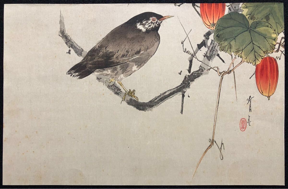 木版画 渡辺省亭【烏瓜図】大正期 真作 ■ 浮世絵 錦絵 花鳥画 新版画 摺物 Ukiyoe_1